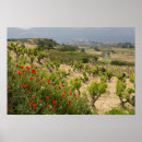 Recherche de la rioja Agriculture