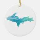Search for aqua ornaments Teal blue