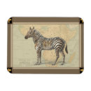 Recherche de animal africain magnets Zèbre