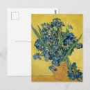 Search for dutch iris postcards Vincent van gogh