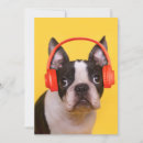 Search for funny dog thank you cards Canine