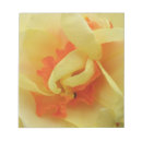 Search for fancy notepads Floral