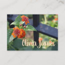 Recherche de fleurs rouges cartes visite Nature