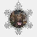 Search for chocolate ornaments Dog lover