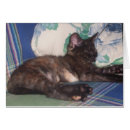 Recherche de salutation de minou Animal
