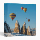 Search for ballooning binders Landscape