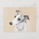Search for whippet dog postcards Puppy