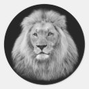 Search for white lions stickers Black