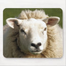 Search for ewes mousepads Farm animal