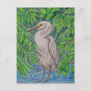 Recherche de herbe sauvage cartes postales Blanc