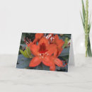 Search for rhododendrons cards Flower