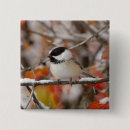 Search for snows buttons Black