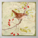 Recherche de roitelet posters Oiseau