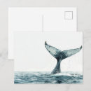 Recherche de queue de baleine cartes postales Mer