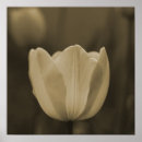 Recherche de on tone art Pour elle