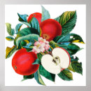 Recherche de fruit vintage posters Antique