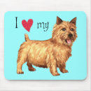 Search for norwich terrier Heart