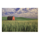 Search for countryside wood canvas field