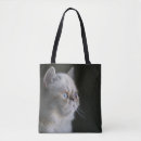 Search for gaze bags Wildlife