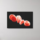 Recherche de globules sanguins posters Cytologie