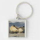 Search for south australia keychains Australian