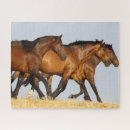 Recherche de cheval de course puzzles Courir