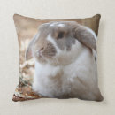 Recherche de oreilles de lapin coussins Photographie