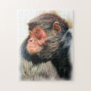 Recherche de monkey puzzles Mignon