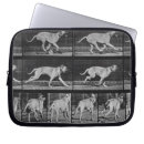 Search for 707 Muybridge