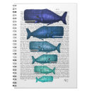 Recherche de whale Funky