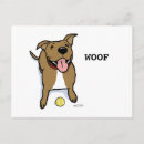Recherche de chien pitbull cartes postales Animaux domestiques
