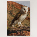 Search for barn owl puzzles Bird