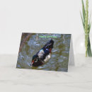 Search for butterfly dreams postcards Unique