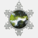 Search for redwood trees ornaments Nature