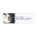 Search for trumpet return address labels Wings