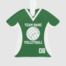 Search for beach volleyball ornaments Team
