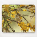 Search for graceful mousepads Birds