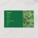 Recherche de fouine cartes visite Vert