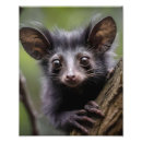 Search for lemur art Endangered