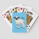 Search for sheep playing cards Valais blacknose sheep