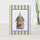 Search for diskette cards Bunny