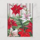 Recherche de poinsettias rouges cartes postales Floral