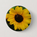 Recherche de tournesol badges Photographie