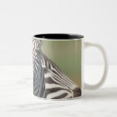 Search for happy together mugs Friendship