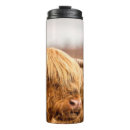 Search for cattle travel mugs Highland