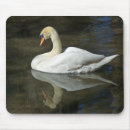 Search for mute swan electronics White