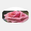 Search for rose oval stickers Nature