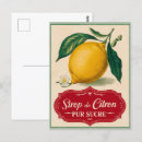 Search for vintage botanical postcards Elegant