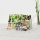 Recherche de libellules vœux cartes Pour tous