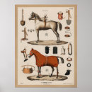 Search for riding horse posters Vintage